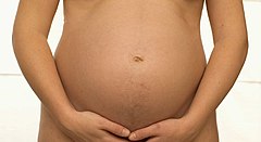 Femme enceinte de 34 semaines Là encore cette photographie reste impersonnelle mais le parti pris de la nudité lui fait quitter le domaine documentaire pour celui de l'hommage rendu à la beauté de la future maman. Noter l'éclairage très doux, l'absence d'ombres portées brutales, qui conviennent bien à la situation tout en masquant d'éventuels défauts de la peau.