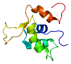 Белок FOXK1 PDB 2a3s.png