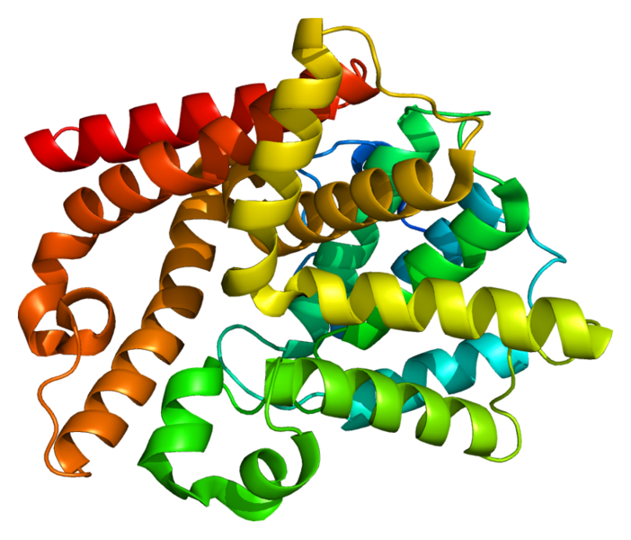 File:Protein PDE10A PDB 2o8h.png