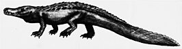 Purussaurus