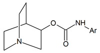 Qhinoclidine carbamates.png