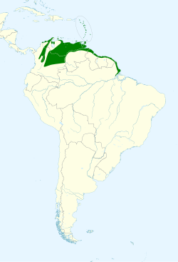 alt=      Distribución continental del zanate caribeño.