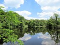 See im Naturschutzgebiet Ohligser Heide, Solingen Ohligs.