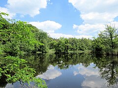 See im Naturschutzgebiet Ohligser Heide