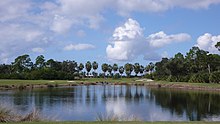 Water feature at the Shell Point Golf Course, Iona, Florida. Shell Point Golf Course - panoramio (2).jpg