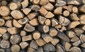 Logs for use as firewood, stacked to dry.