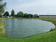 Staw Pozytywka w zlewni Rowu Jeziorki poddany rekultywacji w celu zwiększenia pojemności retencyjnej. W jednej z wersji źródeł cieku, znajduje się na jego biegu