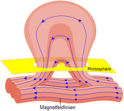 Sunmakulo evoluiĝas: Bündel von Magnetfeldlinien treten aus dem Inneren der Sonne aus.