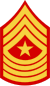 Sergeant Major (SgtMaj)