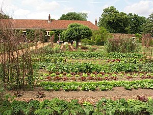 English: Vegetable garden at Ham House Estate....