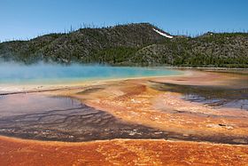 The colorful microbial mats of Grand Prismatic Spring in Yellowstone National Park, USA. The orange mats are composed of Chloroflexia, "Cyanobacteria", and other organisms that thrive in the 70@C water. Geobiologists often study extreme environments like this because they are home to extremophilic organisms. It has been hypothesized that these environments may be representative of early Earth. Yellowstone - asessions.jpg