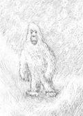 Yeti