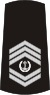 08-Serbian Navy-WO1.svg