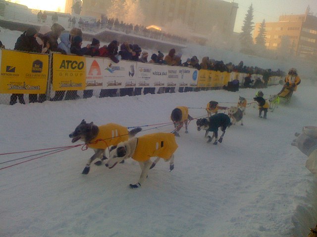 A team of dogs pulls a sled guided by a musher as spectators watch from behind barricades on both sides.