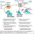 Miniatura de la versión del 20:49 11 jul 2009