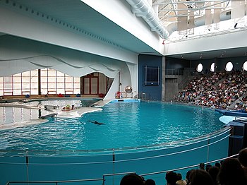 National Aquarium, Baltimore, USA