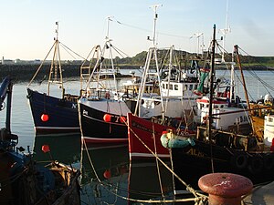 English: Fishing Boats in Ardglass, County Dow...