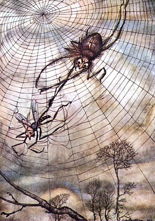 Le moucheron pris au piège de la toile d'araignée, par A. Rackham