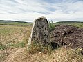 Menhir de Haute-Borne