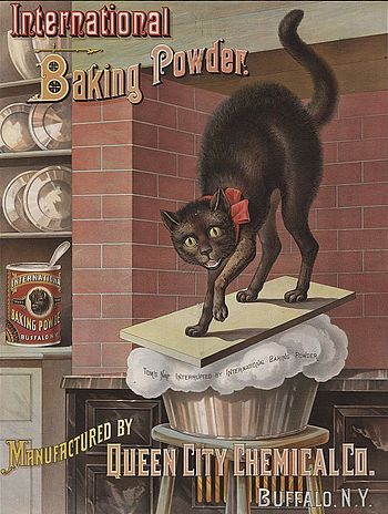 Baking powder advertisement 1885. Internationa...