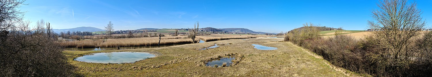 Panorama vom Beobachtungsturm Neeracherried