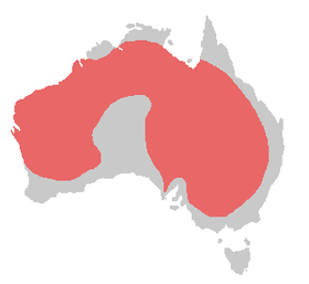 Cockatiel range (in red; all-year resident)