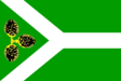 Borová Lada zászlaja
