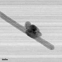 Image d'un bout de nanotube réalise par un microscope électronique