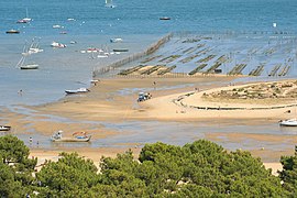 Des parcs à huîtres au Cap-Ferret, devant l’extrémité de la plage du Mimbeau.