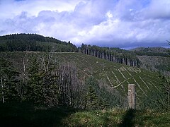 Vue dans les derniers hectomètres sur une parcelle escarpée de bois coupé entre le col de la Croix Montmain et le lieu-dit « Bois Didier ».