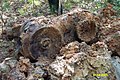 Part of one of Columbia's main engines later recovered.