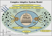 Complex adaptive systems model Complex adaptive system.gif