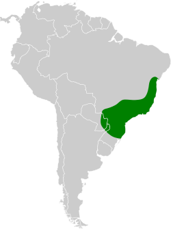 Distribución geográfica del trepatroncos turdino.