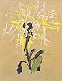 Цветок хризантемы. Эгон Шиле. 1910 г.