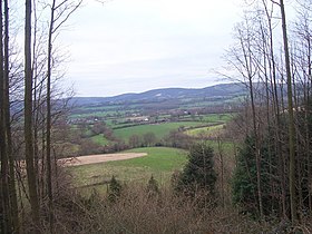 Farmland at Stroud from bridlepath up Lythe Hanger - geograph.org.uk - 324482.jpg