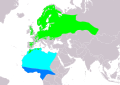 Pienoiskuva 6. marraskuuta 2021 kello 13.46 tallennetusta versiosta