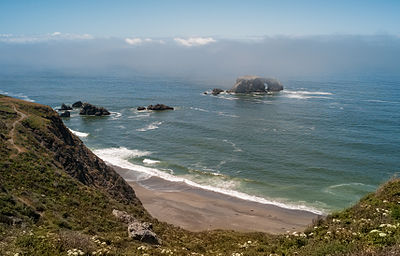 Kabut di Pantai Goat Rock, Sonoma County, California.