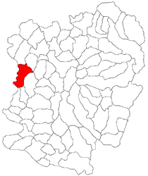 Location in Caraș-Severin County