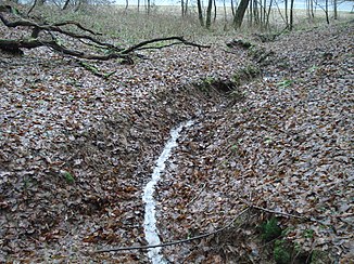 Da Gemarkungsgraben an da St 2307 zwischn Schimborn und Feldkahl