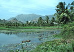 Nagercoil, India