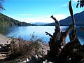 Vista del lago hacia el norte.