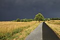 Landschaftspark Hachinger Tal