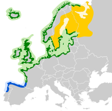 Larus argentatus map.svg