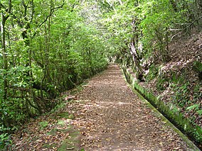 Levada do Furado Madeira.jpg