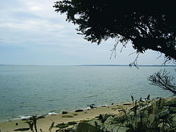 Moriches Bay NY.JPG