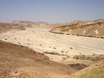 Wadi in Nahal Paran, Negev, Israel.