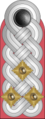 Полковник от Националната народна армия на ГДР.