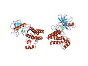 1snu: Crystal structure of the unphosphorylated interleukin-2 tyrosine kinase catalytic domain