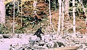 Thumbnail for Bigfoot