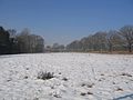 Ruhland, An der Schwarzen Elster (West) (Flurname), Ende Pflaumenweg, Blick westwärts, Winter; links der Biehlener Binnengraben / Unterlauf des Ruhlander Schwarzwassers, rechts Deich der Schwarzen Elster mit Stieleichen-Reihe, hinten die Autobahnbrücke